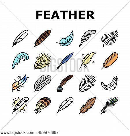 Feather Bird Soft Quil Fluffy Icons Set Vector. Plume, Plumage Light, Falling Angel, Fluff Swan, Lig