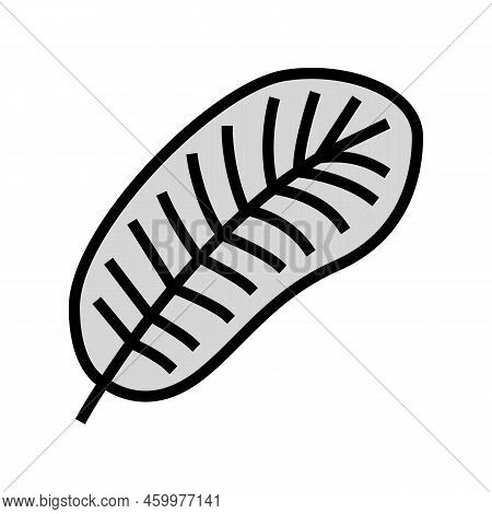 Smooth Feather Soft Fluffy Color Icon Vector. Smooth Feather Soft Fluffy Sign. Isolated Symbol Illus