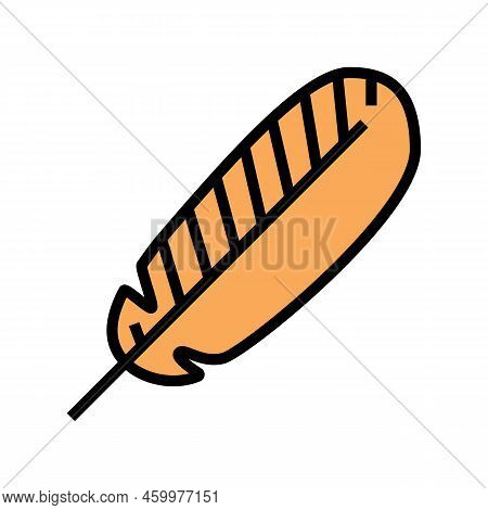 Abstract Feather Soft Fluffy Color Icon Vector. Abstract Feather Soft Fluffy Sign. Isolated Symbol I
