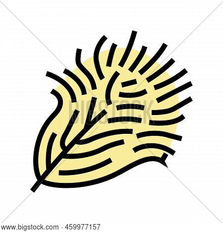 Fluffy Feather Soft Color Icon Vector. Fluffy Feather Soft Sign. Isolated Symbol Illustration