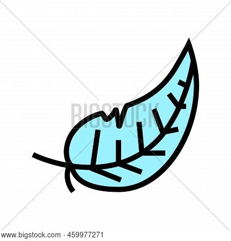Light Feather Soft Fluffy Color Icon Vector. Light Feather Soft Fluffy Sign. Isolated Symbol Illustr