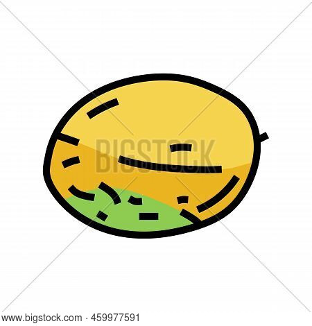Melon Yellow Color Icon Vector. Melon Yellow Sign. Isolated Symbol Illustration
