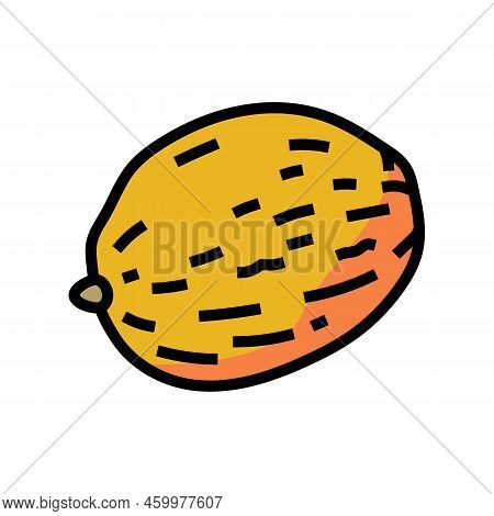 Melon Yellow One Color Icon Vector. Melon Yellow One Sign. Isolated Symbol Illustration