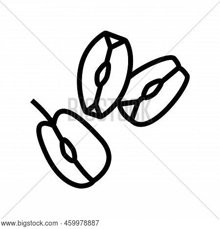 Slice Green Apple Cut Line Icon Vector. Slice Green Apple Cut Sign. Isolated Contour Symbol Black Il