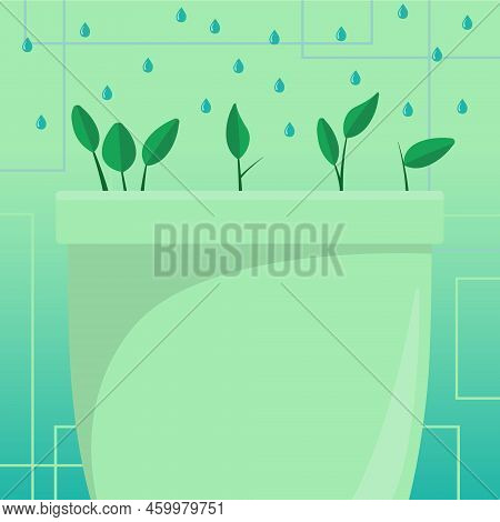 Flower Vase With Herbs Watered By Drops From Top. Liquid Being Poured Over Large Plant Pot. Fresh Gr