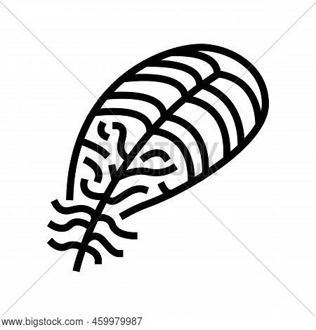 Vintage Feather Soft Fluffy Line Icon Vector. Vintage Feather Soft Fluffy Sign. Isolated Contour Sym