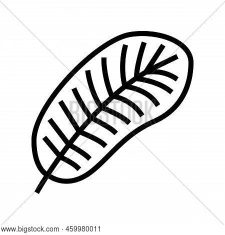 Smooth Feather Soft Fluffy Line Icon Vector. Smooth Feather Soft Fluffy Sign. Isolated Contour Symbo