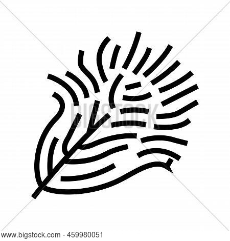 Fluffy Feather Soft Line Icon Vector. Fluffy Feather Soft Sign. Isolated Contour Symbol Black Illust