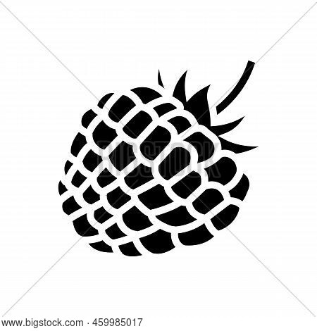 Raspberry Berry Leaf Glyph Icon Vector. Raspberry Berry Leaf Sign. Isolated Symbol Illustration