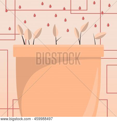 Flower Vase With Herbs Watered By Drops From Top. Liquid Being Poured Over Large Plant Pot. Fresh Gr