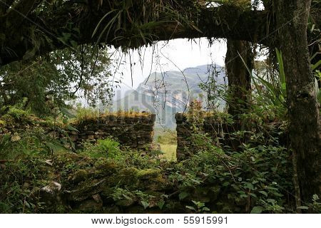 Kuelap Ruins In Forest
