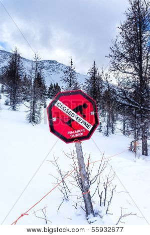 Avalanche Danger