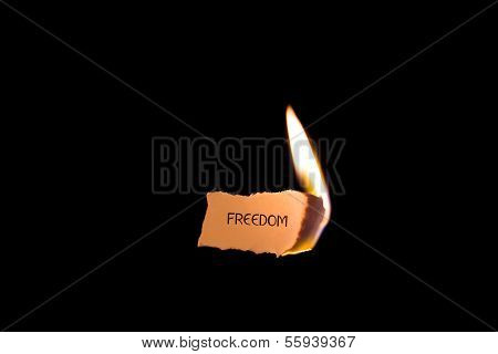 Freedom on fire