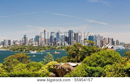 Dramatic Panoramic Photo Sydney Harbor