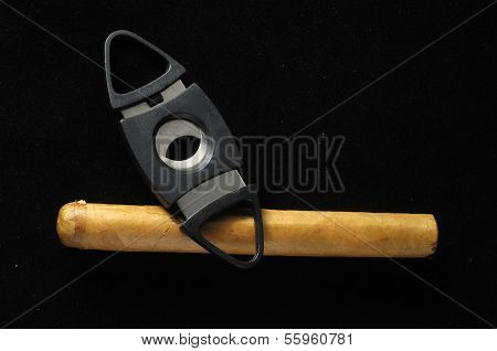 Cuban Brown Havan Cigar