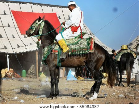 Agadir Festival Morocco