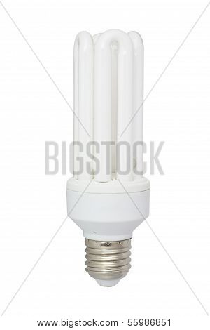 White fluorescent lamp
