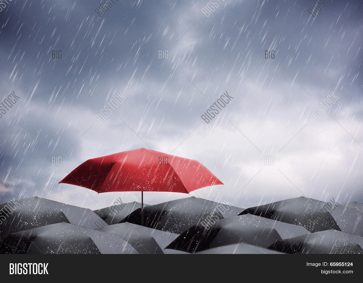 Umbrellas Under Rain Image & Photo (Free Trial) Bigstock