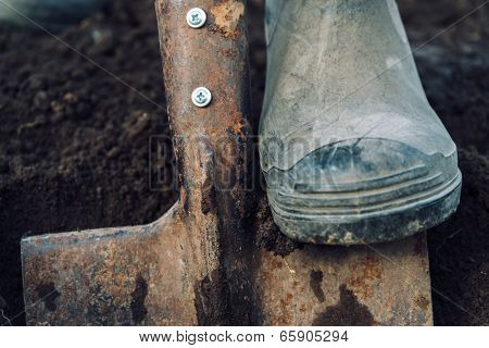 Man Digs On Garden