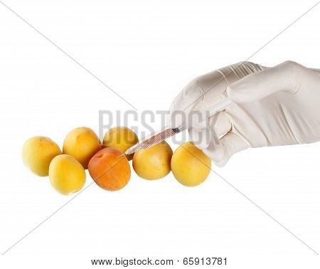 salad,fruit,gmo,gdo