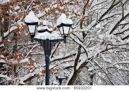 Winter Park