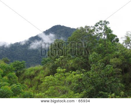 Kuranda Mountain Range
