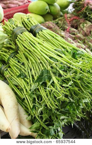 Morning glory and vegetable.