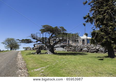 Huge Trees And Country House Bingie (near Morua) . Nsw. Australia