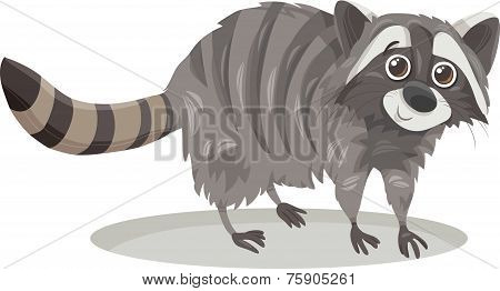 Raccoon Animal Cartoon Illustration