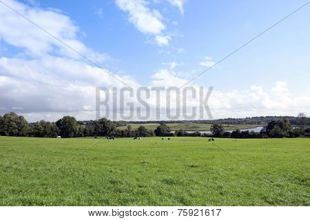 Lush Green Longford Farmland