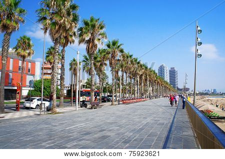 Sea boulevard of Barceloneta