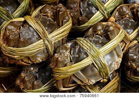 Chinese hairy crabs