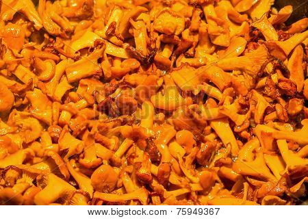 Fried mushrooms
