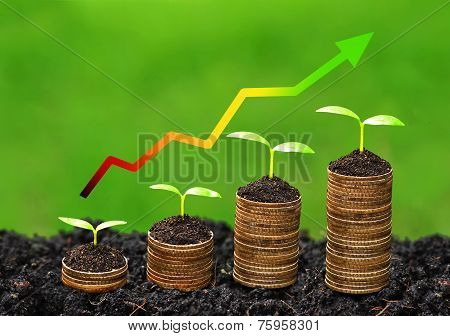 business growth with csr