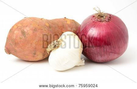Root Vegitable
