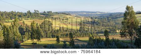 180 degree panorama of Ethiopian highlands and farms