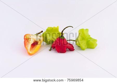 Pepper