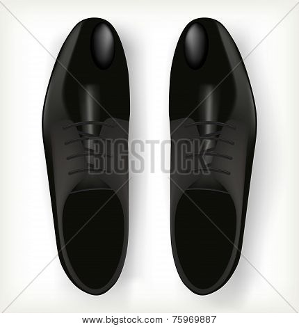 Pair of men's shoes in classic style.