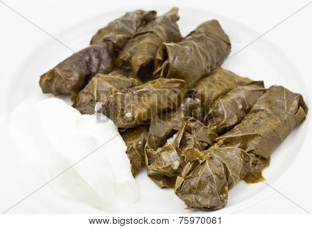 Dolma From Grape Leaves And Mince On White Plate