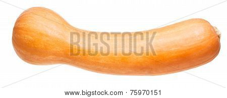 Whole Butternut Pumpkin Isolated On White
