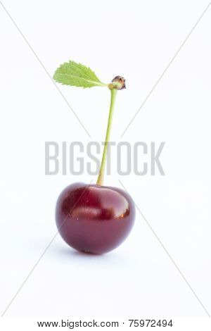 One cherry