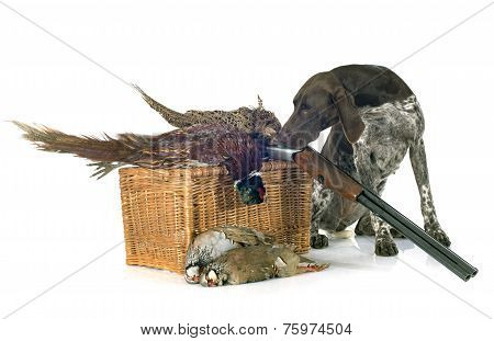 Hunting Games And Dog