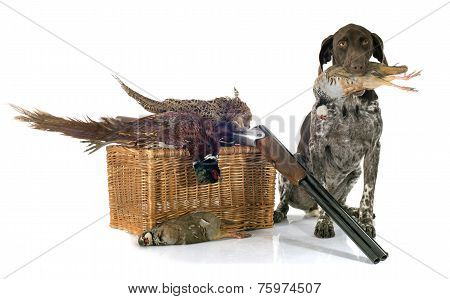Hunting Games And Dog