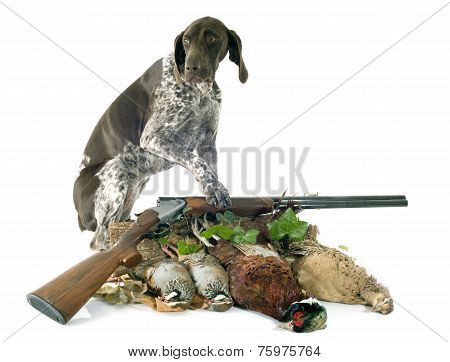 Hunting Games And Dog