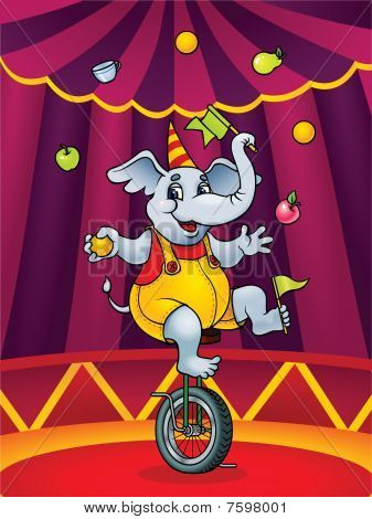 Elefante
