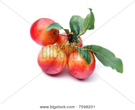 Mirabelle