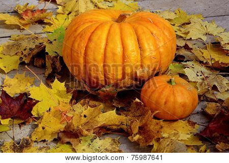 Yellow pumpkin with maple leaves
