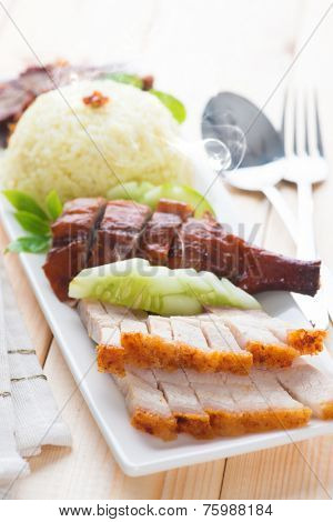 Chinese roasted pork belly served with soy and seafood sauce. Malaysian cuisine. Fresh cooked with hot steam and smoke.