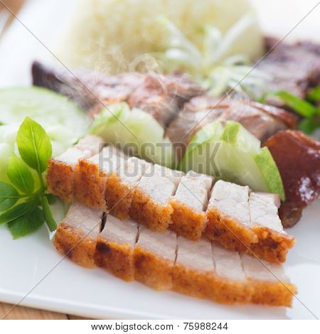 Chinese roasted pork belly served with soy and seafood sauce. Singapore cuisine. Fresh cooked with hot steam and smoke.