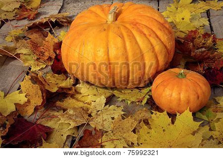 Yellow pumpkin with maple leaves